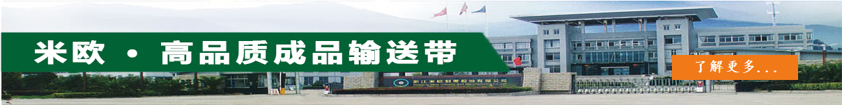 了解成品輸送帶